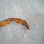 Door Lock Shield sku: TB-53-369-110