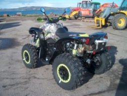 CAN-AM RENEGADE X XC 1000CC full