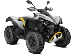 CAN-AM 2023 RENEGADE X XC 650 T